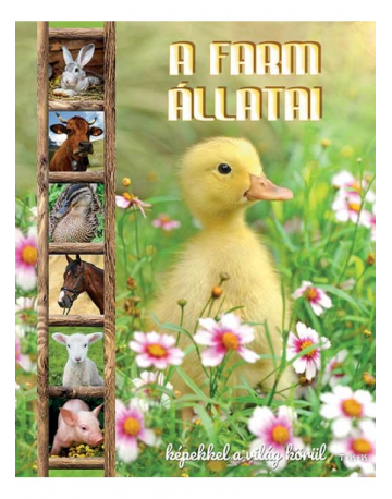 Farm állatai - Képekkel a...